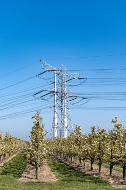 Yüksek voltaj hatları ve elektrik kuleleri Zeeland 'deki nükleer enerji santralinden güç transferi Hollanda' daki elektrik üretimi