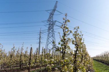 Yüksek voltaj hatları ve elektrik kuleleri Zeeland 'deki nükleer enerji santralinden güç transferi Hollanda' daki elektrik üretimi