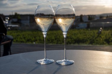 Beyaz şarap brut, büyük rezervler, yeşil üzüm bağlarında şampanya eski şaraplarda büyük Cru Ay-Şampanya köyü Vallee de la Marne 'da, şampanya, Fransa' da günbatımında, düğün konsepti