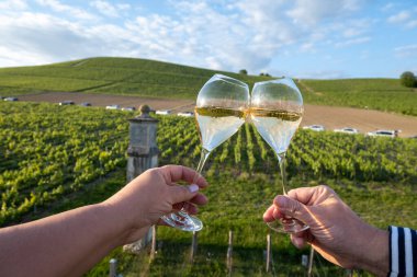 Beyaz şarap brut, büyük rezervler, yeşil üzüm bağlarında şampanya eski şaraplarda büyük Cru Ay-Şampanya köyü Vallee de la Marne 'da, şampanya, Fransa' da günbatımında, düğün konsepti