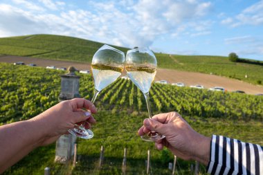 Beyaz şarap brut, büyük rezervler, yeşil üzüm bağlarında şampanya eski şaraplarda büyük Cru Ay-Şampanya köyü Vallee de la Marne 'da, şampanya, Fransa' da günbatımında, düğün konsepti
