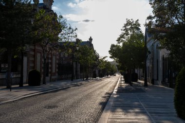 Şampanya Bulvarı 'nda gün batımında yürümek, Epernay, Fransa, cadde manzarası, ağaçlar, dekorasyonlar, gün ışığında şampanya evleri.
