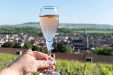Bir bardak köpüklü şarap brut, büyük rezerv, yeşil tepe üzüm bağlarında şampanya ve Vallee de la Marne 'de eski şarap köyü manzaralı şampanya, Fransa