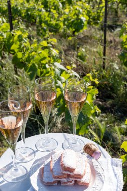 Beyaz ve gül tadım şarap brut, büyük rezerv, yeşil tepe üzüm bağlarında şampanya ve Vallee de la Marne 'da köy yapan eski şarap manzarası, şampanya, Fransa