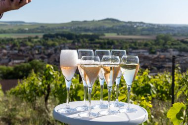 Beyaz ve gül tadım şarap brut, büyük rezerv, yeşil tepe üzüm bağlarında şampanya ve Vallee de la Marne 'da köy yapan eski şarap manzarası, şampanya, Fransa