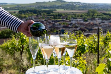 Beyaz ve gül tadım şarap brut, büyük rezerv, yeşil tepe üzüm bağlarında şampanya ve Vallee de la Marne 'da köy yapan eski şarap manzarası, şampanya, Fransa