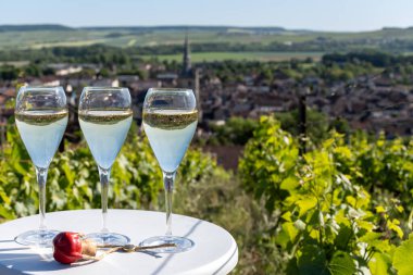 Kuru, köpüklü şarap brut, büyük rezervler, yeşil tepe üzüm bağlarında şampanya ve Vallee de la Marne, Fransa 'nın Şampanya Bölgesi' nde köy yapımı eski şaraplar.