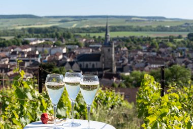 Kuru, köpüklü şarap brut, büyük rezervler, yeşil tepe üzüm bağlarında şampanya ve Vallee de la Marne, Fransa 'nın Şampanya Bölgesi' nde köy yapımı eski şaraplar.