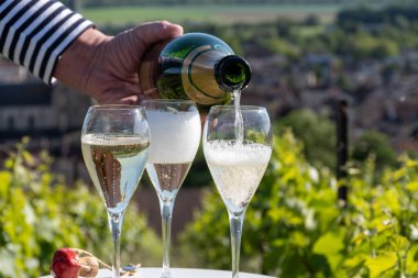 Kuru, köpüklü şarap brut, büyük rezervler, yeşil tepe üzüm bağlarında şampanya ve Vallee de la Marne, Fransa 'nın Şampanya Bölgesi' nde köy yapımı eski şaraplar.