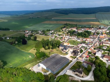 Yeşil başbakan ve Grand Cru üzüm bağları, Lal de Livre 'deki Pinot Noir ve Meunier üzümleri, Mayıs' ta Champagne, Fransa 'da sıralanmış üzüm bağları,