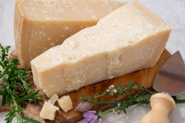 Geleneksel İtalyan yemekleri, 36 aylık mağaralardaki İtalyan parmesan peyniri Parmigiano-Reggiano ve Po River Valley, İtalya 'dan grana padano, yakın çekim.