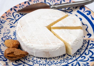 Fransız yumuşak peynir koleksiyonu, kremsi olgun inek sütlü peynir roudou beyaz küflü, Fransa