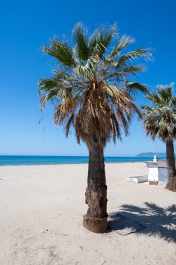 Sezon öncesi kumsal bakım işi, traktör deniz yosunu temizliyor ve kumları gevşetiyor, İtalya 'da ödemeli plajlar, özel mülk, pahalı plaj tatilleri