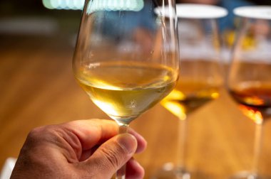 Eski büyük meşe fıçılarıyla şarap mahzeni ziyareti, güçlendirilmiş kuru veya tatlı marsala şarabı ile tatma bardakları Marsala, Sicilya, İtalya 'da şarap endüstrisi