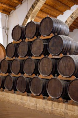 Eski büyük meşe fıçılarıyla şarap mahzeni ziyareti, Marsala, Sicilya 'da güçlendirilmiş kuru veya tatlı marsala şarabı üretimi, İtalya' da şarap endüstrisi