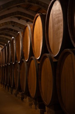 Eski büyük meşe fıçılarıyla şarap mahzeni ziyareti, Marsala, Sicilya 'da güçlendirilmiş kuru veya tatlı marsala şarabı üretimi, İtalya' da şarap endüstrisi