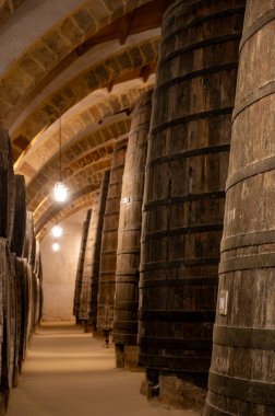 Eski büyük meşe fıçılarıyla şarap mahzeni ziyareti, Marsala, Sicilya 'da güçlendirilmiş kuru veya tatlı marsala şarabı üretimi, İtalya' da şarap endüstrisi