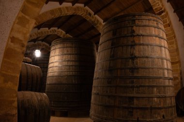 Eski büyük meşe fıçılarıyla şarap mahzeni ziyareti, Marsala, Sicilya 'da güçlendirilmiş kuru veya tatlı marsala şarabı üretimi, İtalya' da şarap endüstrisi