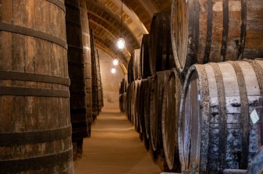 Eski büyük meşe fıçılarıyla şarap mahzeni ziyareti, Marsala, Sicilya 'da güçlendirilmiş kuru veya tatlı marsala şarabı üretimi, İtalya' da şarap endüstrisi