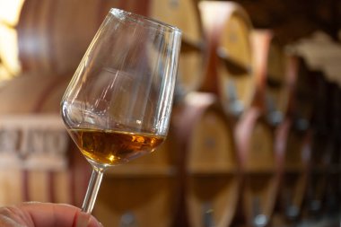 Eski büyük meşe fıçılarıyla şarap mahzeni ziyareti, el ele tutuşma, güçlendirilmiş kuru veya tatlı marsala şarabı Marsala, Sicilya, İtalya, şarap endüstrisi...