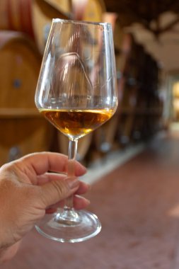 Eski büyük meşe fıçılarıyla şarap mahzeni ziyareti, el ele tutuşma, güçlendirilmiş kuru veya tatlı marsala şarabı Marsala, Sicilya, İtalya, şarap endüstrisi...