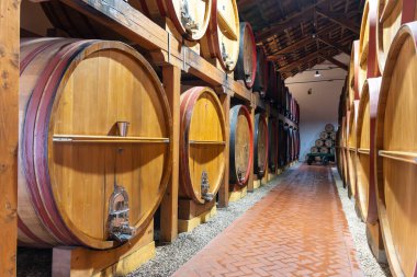 Eski büyük meşe fıçılarıyla şarap mahzeni ziyareti, Marsala, Sicilya 'da güçlendirilmiş kuru veya tatlı marsala şarabı üretimi, İtalya' da şarap endüstrisi