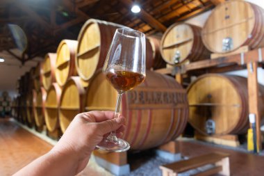 Eski büyük meşe fıçılarıyla şarap mahzeni ziyareti, el ele tutuşma, güçlendirilmiş kuru veya tatlı marsala şarabı Marsala, Sicilya, İtalya, şarap endüstrisi...