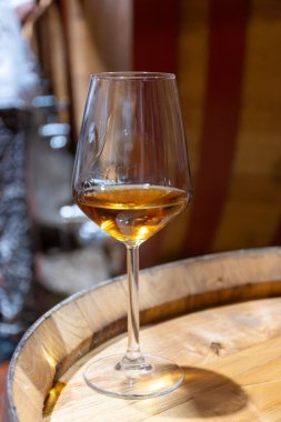 Eski büyük meşe fıçılarıyla şarap mahzenini ziyaret etmek, Marsala, Sicilya, İtalya ve şarap endüstrisindeki varillerden alınmış bir bardak güçlendirilmiş veya lezzetli marsala şarabı.