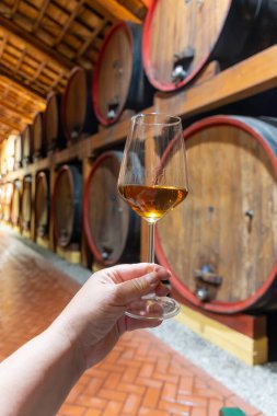 Eski büyük meşe fıçılarıyla şarap mahzenini ziyaret etmek, Marsala, Sicilya, İtalya ve şarap endüstrisindeki varillerden alınmış bir bardak güçlendirilmiş veya lezzetli marsala şarabı.