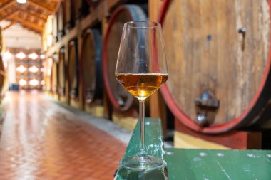 Eski büyük meşe fıçılarıyla şarap mahzenini ziyaret etmek, Marsala, Sicilya, İtalya ve şarap endüstrisindeki varillerden alınmış bir bardak güçlendirilmiş veya lezzetli marsala şarabı.