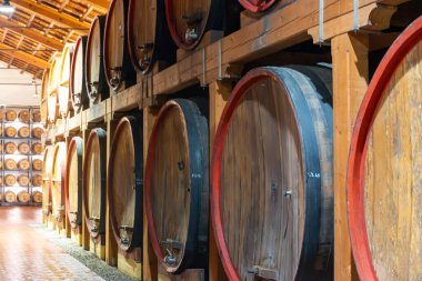 Eski büyük meşe fıçılarıyla şarap mahzeni ziyareti, Marsala, Sicilya 'da güçlendirilmiş kuru veya tatlı marsala şarabı üretimi, İtalya' da şarap endüstrisi