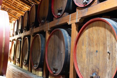 Eski büyük meşe fıçılarıyla şarap mahzeni ziyareti, Marsala, Sicilya 'da güçlendirilmiş kuru veya tatlı marsala şarabı üretimi, İtalya' da şarap endüstrisi