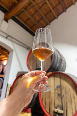 Eski büyük meşe fıçılarıyla şarap mahzenini ziyaret etmek, Marsala, Sicilya, İtalya ve şarap endüstrisindeki varillerden alınmış bir bardak güçlendirilmiş veya lezzetli marsala şarabı.