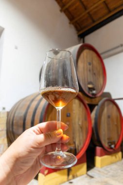 Eski büyük meşe fıçılarıyla şarap mahzenini ziyaret etmek, Marsala, Sicilya, İtalya ve şarap endüstrisindeki varillerden alınmış bir bardak güçlendirilmiş veya lezzetli marsala şarabı.