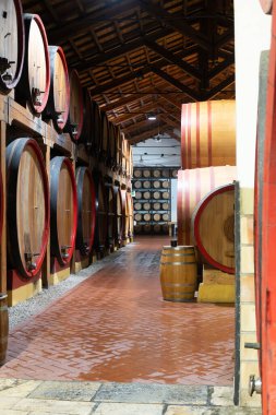 Eski büyük meşe fıçılarıyla şarap mahzeni ziyareti, Marsala, Sicilya 'da güçlendirilmiş kuru veya tatlı marsala şarabı üretimi, İtalya' da şarap endüstrisi