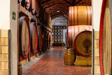 Eski büyük meşe fıçılarıyla şarap mahzeni ziyareti, Marsala, Sicilya 'da güçlendirilmiş kuru veya tatlı marsala şarabı üretimi, İtalya' da şarap endüstrisi