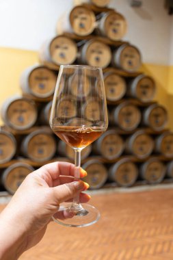 Eski büyük meşe fıçılarıyla şarap mahzenini ziyaret etmek, Marsala, Sicilya, İtalya ve şarap endüstrisindeki varillerden alınmış bir bardak güçlendirilmiş veya lezzetli marsala şarabı.