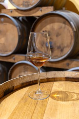 Eski büyük meşe fıçılarıyla şarap mahzenini ziyaret etmek, Marsala, Sicilya, İtalya ve şarap endüstrisindeki varillerden alınmış bir bardak güçlendirilmiş veya lezzetli marsala şarabı.