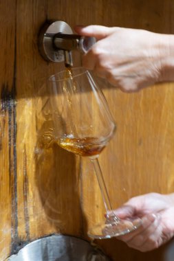 Eski büyük meşe fıçılarıyla şarap mahzenini ziyaret etmek, Marsala, Sicilya, İtalya ve şarap endüstrisindeki fıçılardan güçlendirilmiş veya tatlı marsala şarabı dökmek.