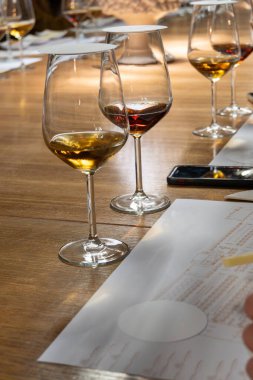 Eski büyük meşe fıçılarıyla şarap mahzeni ziyareti, güçlendirilmiş kuru veya tatlı marsala şarabı ile tatma bardakları Marsala, Sicilya, İtalya 'da şarap endüstrisi