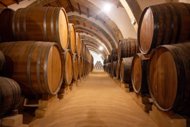 Eski büyük meşe fıçılarıyla şarap mahzeni ziyareti, Marsala, Sicilya 'da güçlendirilmiş kuru veya tatlı marsala şarabı üretimi, İtalya' da şarap endüstrisi