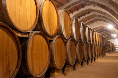 Eski büyük meşe fıçılarıyla şarap mahzeni ziyareti, Marsala, Sicilya 'da güçlendirilmiş kuru veya tatlı marsala şarabı üretimi, İtalya' da şarap endüstrisi