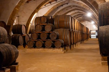 Eski büyük meşe fıçılarıyla şarap mahzeni ziyareti, Marsala, Sicilya 'da güçlendirilmiş kuru veya tatlı marsala şarabı üretimi, İtalya' da şarap endüstrisi