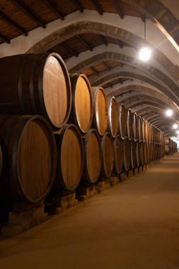 Eski büyük meşe fıçılarıyla şarap mahzeni ziyareti, Marsala, Sicilya 'da güçlendirilmiş kuru veya tatlı marsala şarabı üretimi, İtalya' da şarap endüstrisi