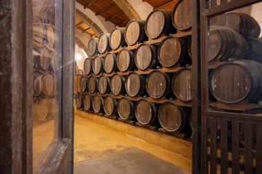 Eski büyük meşe fıçılarıyla şarap mahzeni ziyareti, Marsala, Sicilya 'da güçlendirilmiş kuru veya tatlı marsala şarabı üretimi, İtalya' da şarap endüstrisi