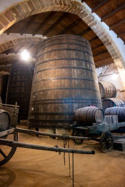 Eski büyük meşe fıçılarıyla şarap mahzeni ziyareti, Marsala, Sicilya 'da güçlendirilmiş kuru veya tatlı marsala şarabı üretimi, İtalya' da şarap endüstrisi