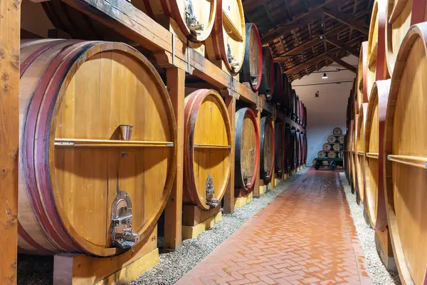 Eski büyük meşe fıçılarıyla şarap mahzeni ziyareti, Marsala, Sicilya 'da güçlendirilmiş kuru veya tatlı marsala şarabı üretimi, İtalya' da şarap endüstrisi