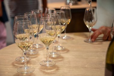 Collioure AOC tatma, Banyuls AOC beyaz, gül ve kırmızı şarap, doğal tatlı cru Banyuls güçlendirilmiş tatlı şarap Roussillon, Fransa 'daki Katalan Pireneleri' nin yamaçlarındaki eski sarmaşıklardan