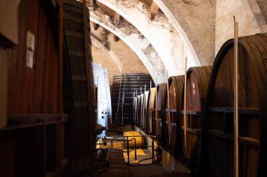 Collioure 'daki eski meşe fıçılarını ziyaret edin. Doğal tatlı kırmızı cru şarabı için eski meşe fıçıları. Banyuls, Katalan Pirenesi, Roussillon, Fransa' nın yamaçlarındaki eski sarmaşıklardan güçlendirilmiş tatlı şarabı.