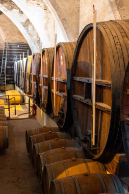 Collioure 'daki eski meşe fıçılarını ziyaret edin. Doğal tatlı kırmızı cru şarabı için eski meşe fıçıları. Banyuls, Katalan Pirenesi, Roussillon, Fransa' nın yamaçlarındaki eski sarmaşıklardan güçlendirilmiş tatlı şarabı.